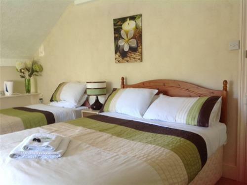 The New Inn Hotel Llangynog Phòng bức ảnh